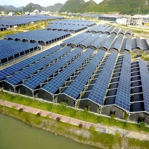 Agri Voltaic Farming